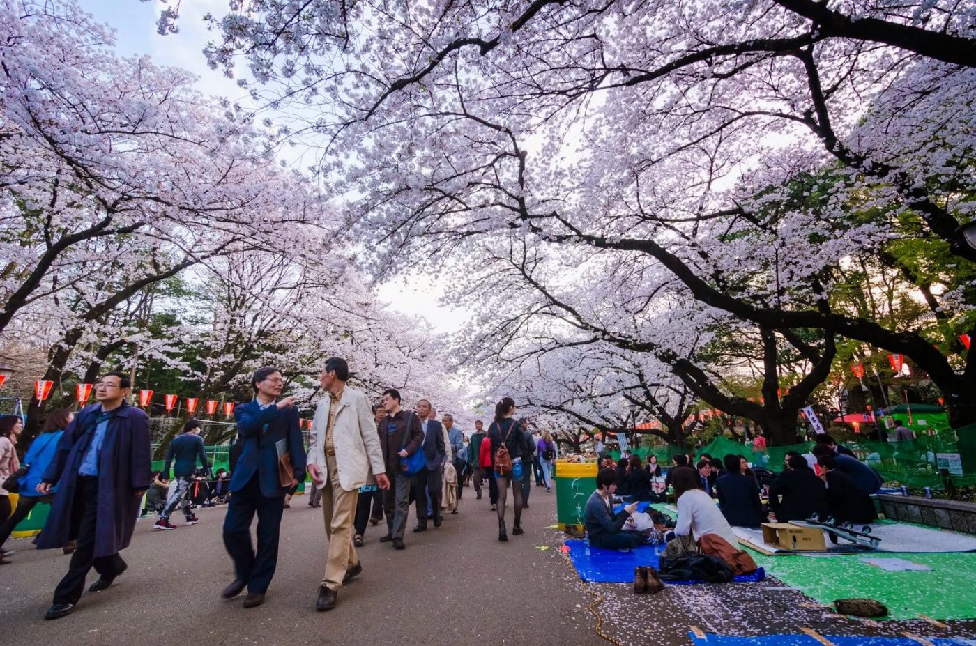 Nikmati Liburan Seru Selama Musim Semi Di Jepang