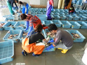 Joban-Mono : Ikan Terenak Di Jepang Yang Juga Menjadi Salah Satu Cara Kota Iwaki Untuk Mempromosikan Diri Kepada Dunia Luar