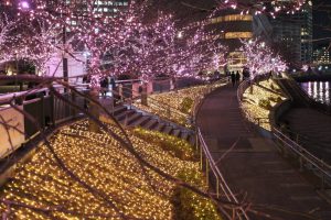 Nikmati Keindahan Bunga Sakura Musim Dingin Disepanjang Sungai Meguro Tokyo