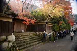 Keindahan Musim Gugur Yang Sempurna Dari Kuil Rurikoin Di Kyoto