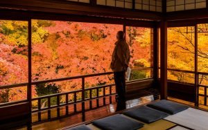 Keindahan Musim Gugur Yang Sempurna Dari Kuil Rurikoin Di Kyoto