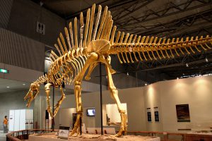 Fakta Mengenai Jejak Dinosaurus Yang Pernah Tinggal Di Dataran Jepang