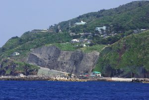 Berenang Dan Bermain Bersama Lumba-Lumba Liar Di Pulau Mikurajima !