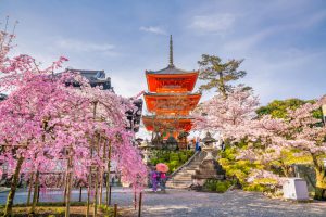 Panduan & Informasi Penting Untuk Wisata Awal Tahun Di Jepang