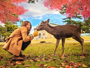 5 Destinasi Wisata Terbaik Di Jepang Untuk Kamu Yang Pecinta Binatang