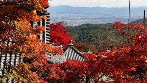 4 Lokasi Terbaik Untuk Menikmati Tradisi Hatsuhinode Saat Tahun Baru Jepang