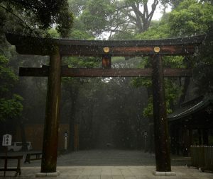 Mempelajari Kesabaran Dan Pentingnya Sumber Kehidupan Dari Hutan Abadi Kuil Meiji Jingu