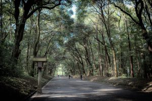 Mempelajari Kesabaran Dan Pentingnya Sumber Kehidupan Dari Hutan Abadi Kuil Meiji Jingu