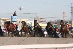 Nikmati Suasana Wisata Pedesaan Yang Sempurna Di Tokachi Obihiro Hokkaido