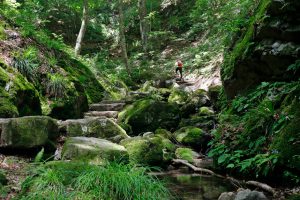 5 Destinasi Alternatif Untuk Menikmati Wisata Alam Di Sekitar Tokyo