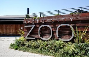 Wisata Keluarga Di Kebun Binatang Okazaki Kyoto