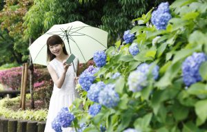 Tips & Rekomendasi Berlibur Awal Musim Panas Di Jepang